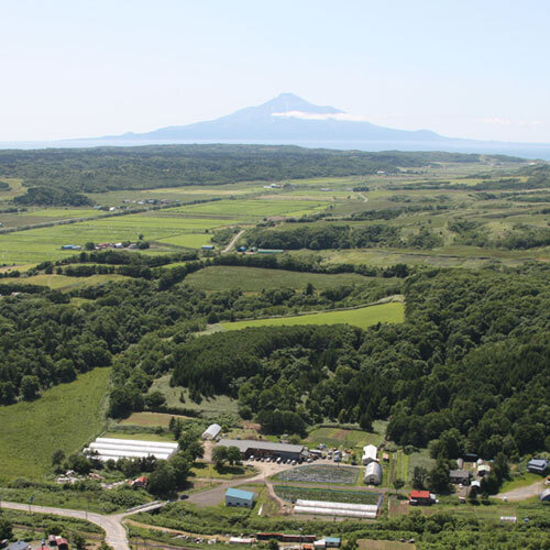 ファームイン悠遊ファーム(北海道稚内市大字抜海村字上勇知1293)