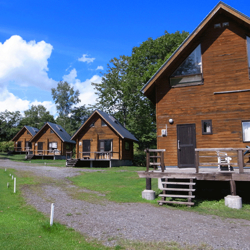 ニセココテージアカゲラ(北海道虻田郡倶知安町樺山3-4)