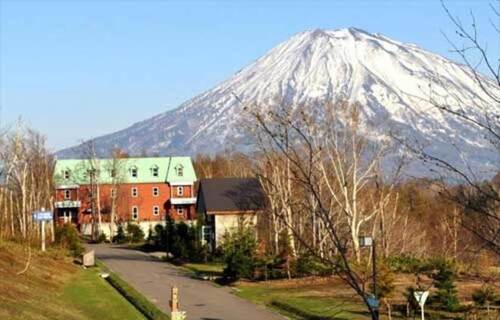 フリーダムイン(INN)(北海道虻田郡倶知安町字旭305-8)