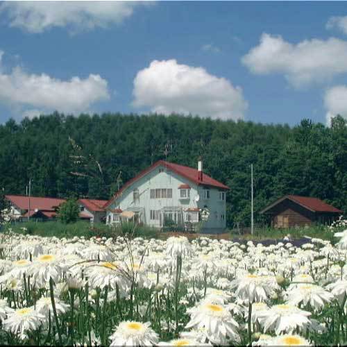 菜摘実の里(北海道上川郡美瑛町字美瑛原野4)