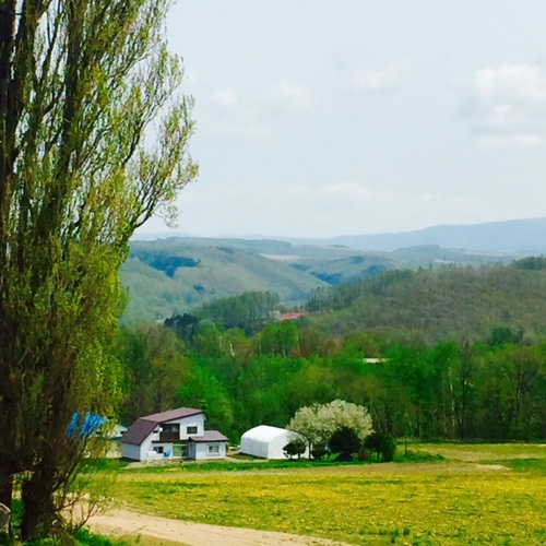 ペンションケンとメリー(北海道上川郡美瑛町大久保協生)