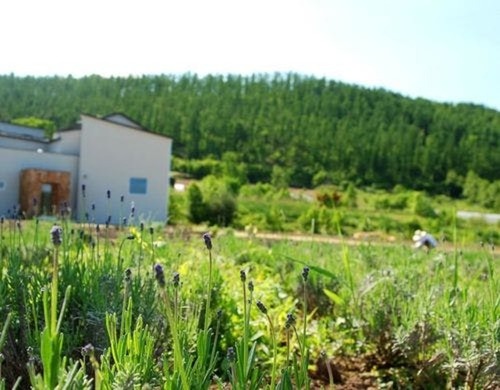 Auberge erba stella(オーベルジュ エルバステラ)(北海道空知郡中富良野町鹿討農場)