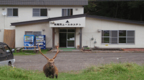 知床岩尾別ユースホステル(北海道斜里郡斜里町遠音別村イワウベツ番外地)