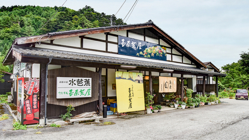 水芭蕉(群馬県沼田市上発知町40)