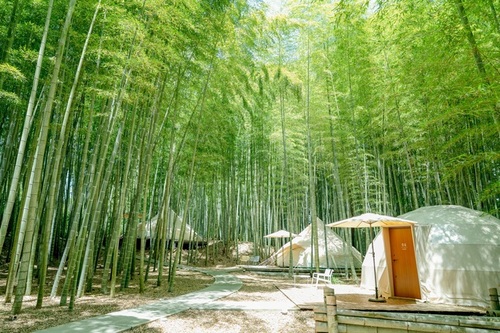 THE BAMBOO FOREST(千葉県市原市山小川790)