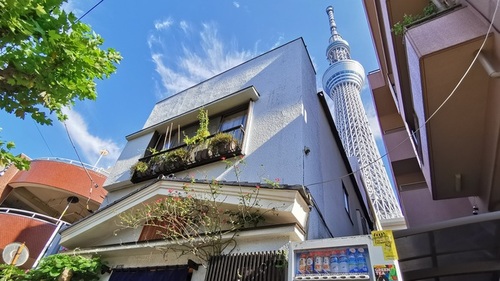 コマツヤ(東京都墨田区向島3-45-3)