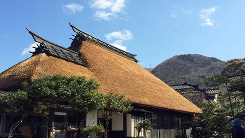 まつや(新潟県長岡市寺泊野積10039)