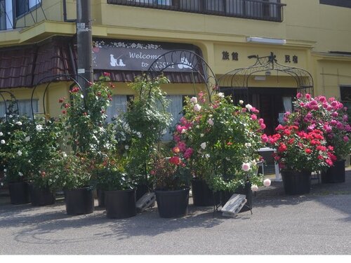 九十九湾料理民宿一水(石川県鳳珠郡能登町字市之瀬1-85-6)