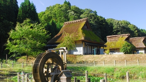 悠久ロマンの杜(福井県丹生郡越前町笈松44-3)