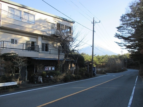 王岳(山梨県南都留郡富士河口湖町西湖西4-8)