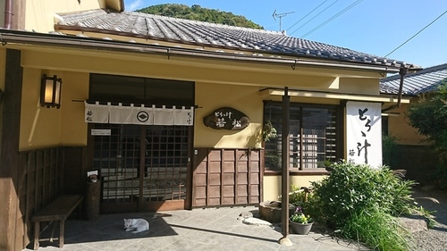 若松(静岡県静岡市駿河区丸子3375-1)