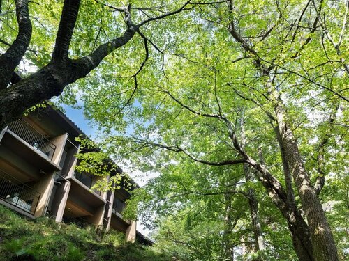 ホテルラフォーレ修善寺山紫水明(静岡県伊豆市大平1529)