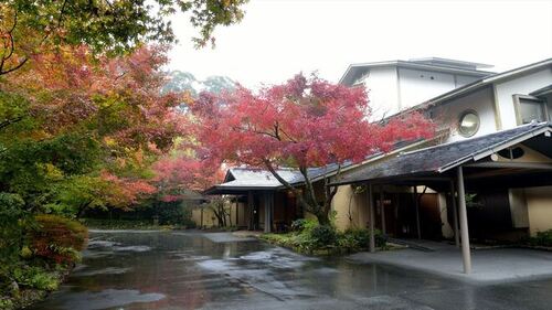 嵯峨沢館(静岡県伊豆市門野原400-1)