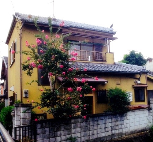 京much家(京都府京都市上京区御前通西裏上ノ下立売上る北町580-6)
