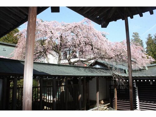 高野山温泉福智院(和歌山県伊都郡高野町高野山657)