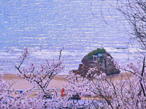 ニューウェルシティ出雲(島根県出雲市塩冶有原町2-15-1)