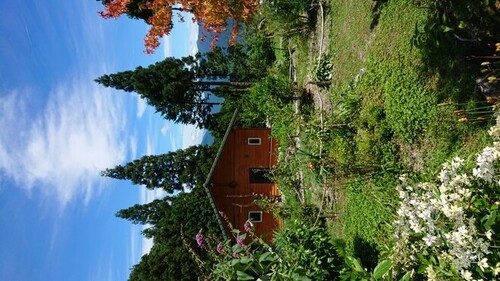 コテージてっぺん(高知県吾川郡仁淀川町寄合725-2)