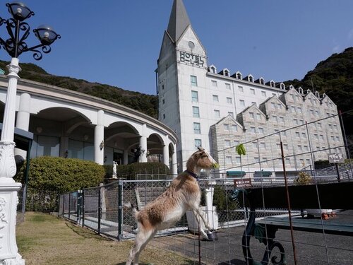 ホテルローレライ(長崎県佐世保市南風崎町449)