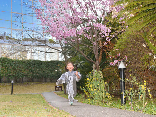 別府温泉美湯の宿両築別邸(大分県別府市観海寺3)