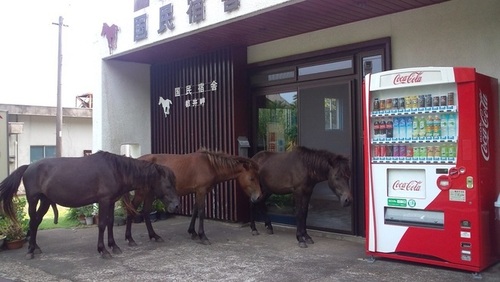 都井岬国民宿舎(宮崎県串間市大字大納42ロ)