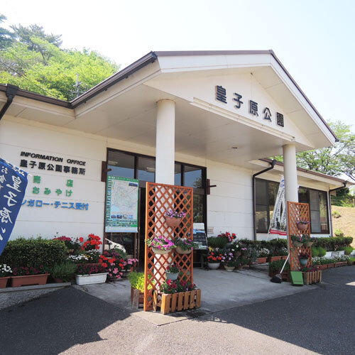 皇子原公園(宮崎県西諸県郡高原町蒲牟田3-251)